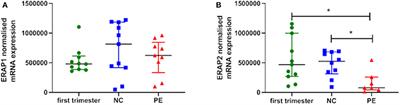 The Differential Expression of ERAP1/ERAP2 and Immune Cell Activation in Pre-eclampsia